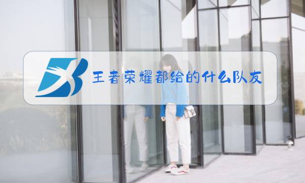 王者荣耀都给的什么队友图片