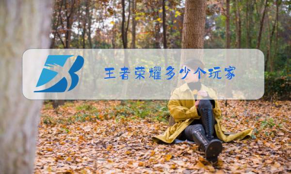 王者荣耀多少个玩家图片
