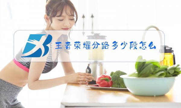 王者荣耀分路多少段怎么升级图片