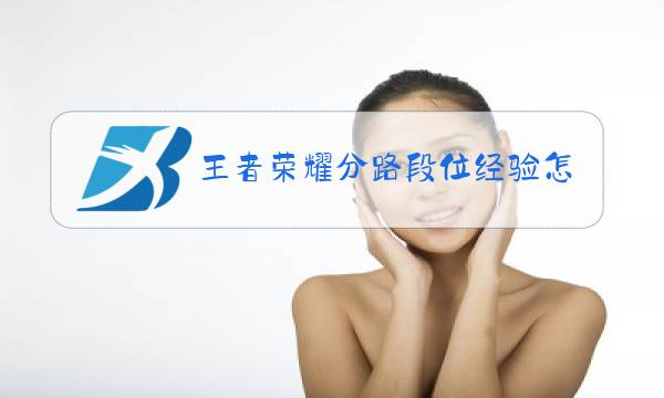 王者荣耀分路段位经验怎么看