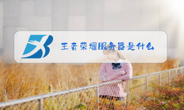 王者荣耀服务器是什么图片