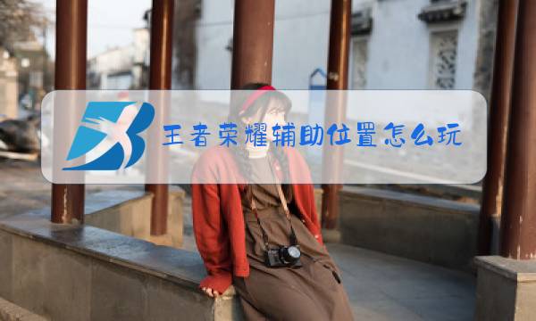 王者荣耀辅助位置怎么玩图片