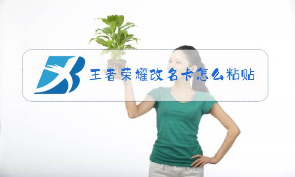 王者荣耀改名卡怎么粘贴图片