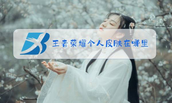王者荣耀个人皮肤在哪里看图片