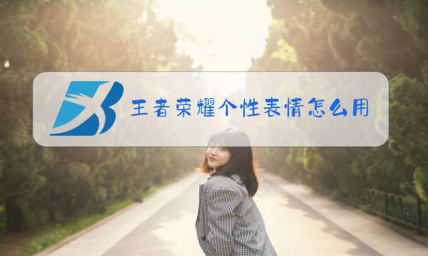 王者荣耀个性表情怎么用图片