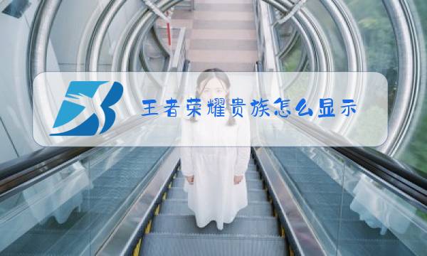 王者荣耀贵族怎么显示图片