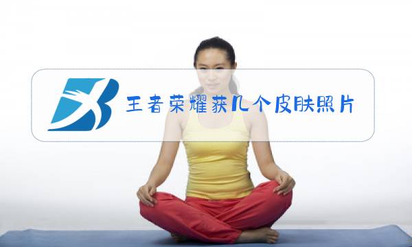 王者荣耀获几个皮肤照片
