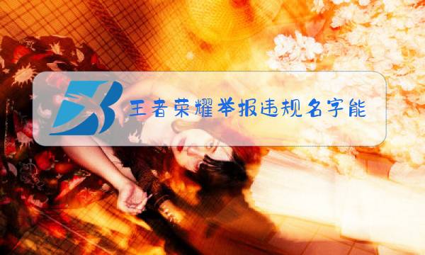 王者荣耀举报违规名字能看到是谁举报的吗图片