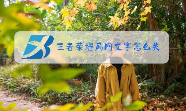 王者荣耀局内文字怎么关闭图片