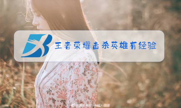 王者荣耀击杀英雄有经验吗