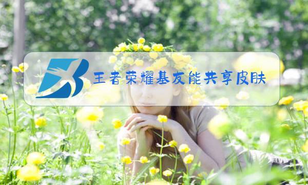 王者荣耀基友能共享皮肤吗图片