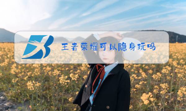 王者荣耀可以隐身玩吗