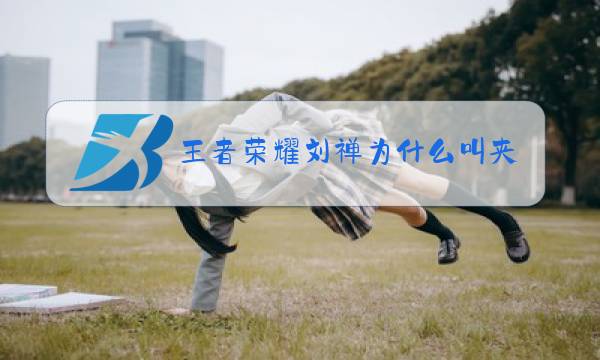 王者荣耀刘禅为什么叫夹子图片