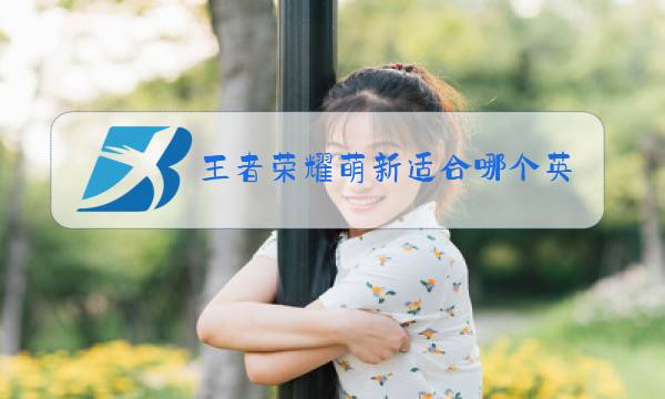 王者荣耀萌新适合哪个英雄图片