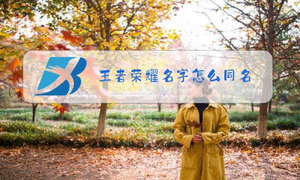 王者荣耀名字怎么同名