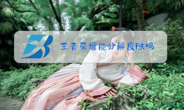 王者荣耀能分解皮肤吗图片