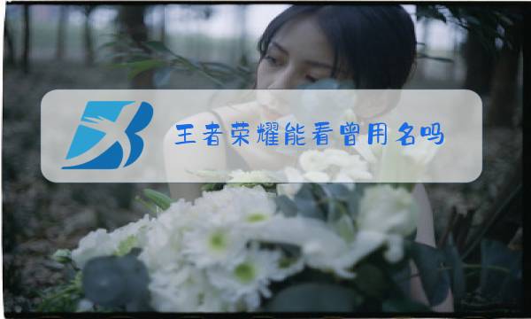 王者荣耀能看曾用名吗图片