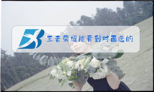 王者荣耀能看到对面选的英雄吗图片