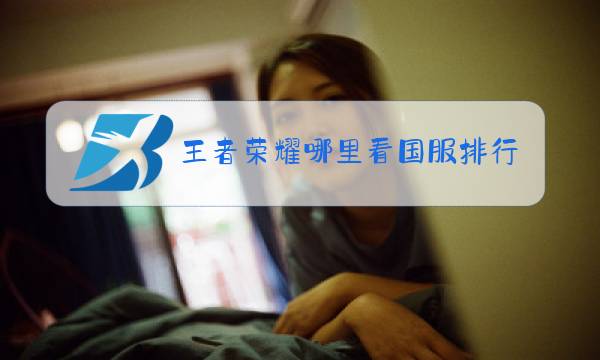 王者荣耀哪里看国服排行榜图片