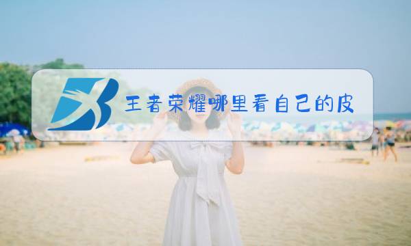 王者荣耀哪里看自己的皮肤图片