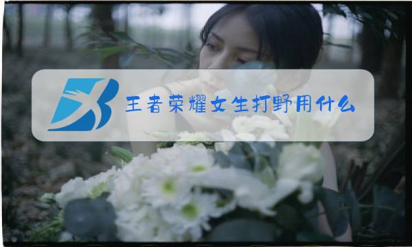 王者荣耀女生打野用什么英雄图片