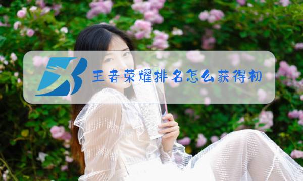 王者荣耀排名怎么获得初级图片