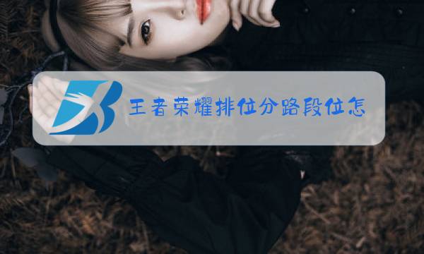 王者荣耀排位分路段位怎么发出来图片