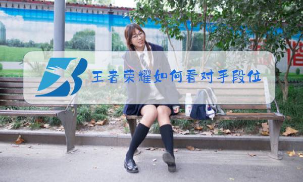 王者荣耀如何看对手段位图片