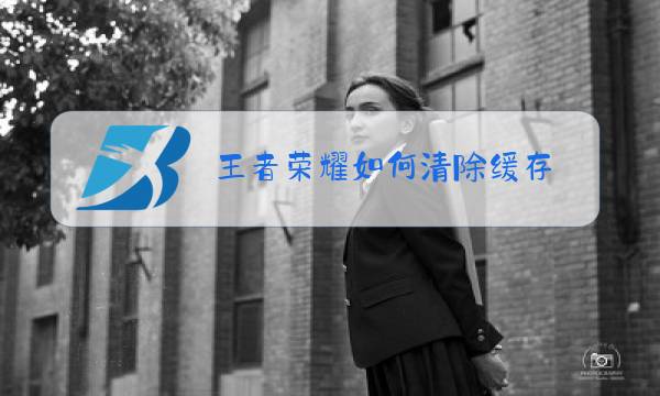 王者荣耀如何清除缓存图片