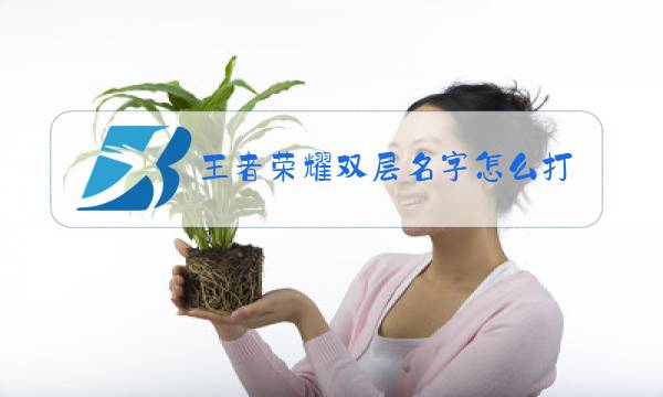王者荣耀双层名字怎么打图片