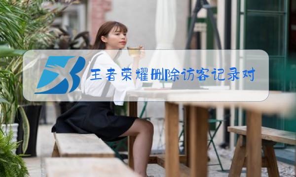 王者荣耀删除访客记录对方能看到吗图片