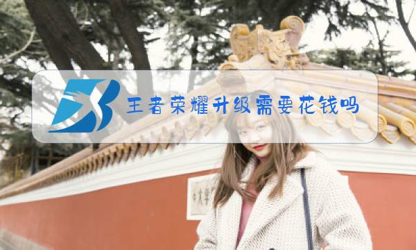 王者荣耀升级需要花钱吗