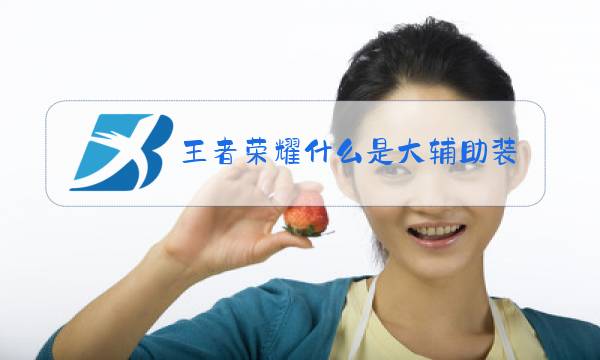 王者荣耀什么是大辅助装图片