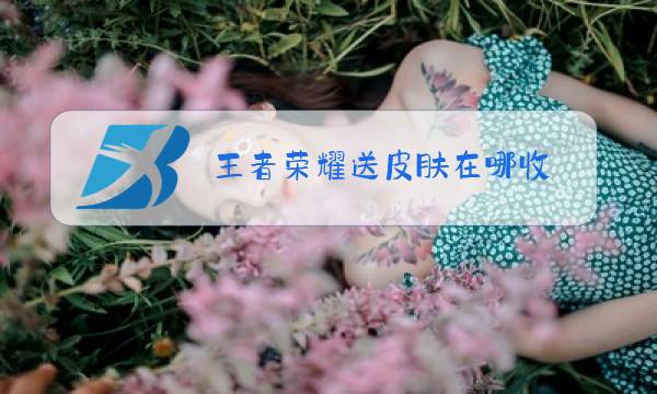 王者荣耀送皮肤在哪收图片