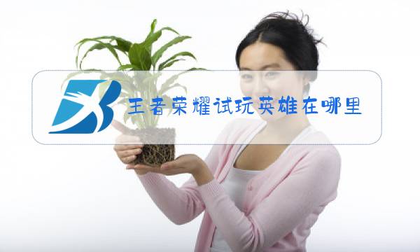 王者荣耀试玩英雄在哪里图片