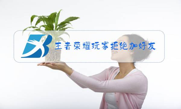 王者荣耀玩家拒绝加好友怎么联系图片