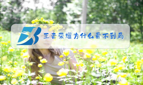 王者荣耀为什么看不到局内聊天图片