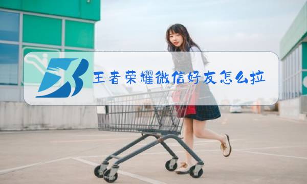 王者荣耀微信好友怎么拉黑名单图片