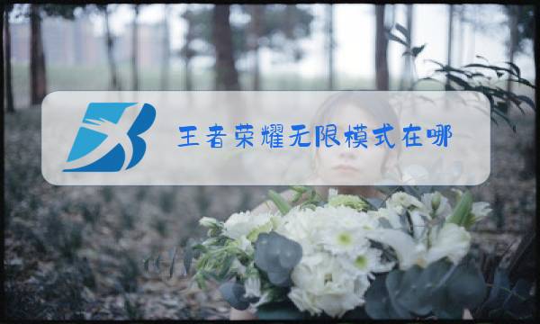 王者荣耀无限模式在哪图片