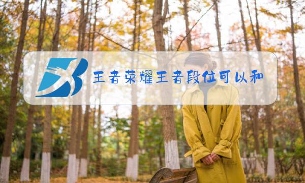 王者荣耀王者段位可以和钻石一起排位吗图片
