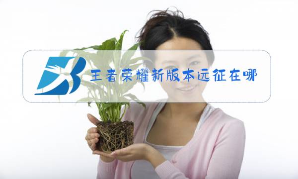 王者荣耀新版本远征在哪里图片