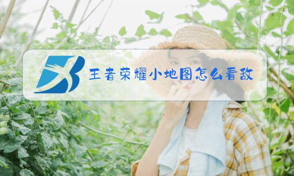 王者荣耀小地图怎么看敌方血量图片