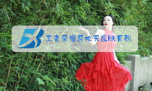 王者荣耀营地买皮肤有积分吗图片