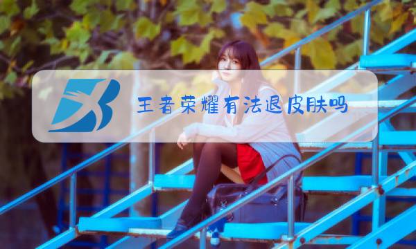 王者荣耀有法退皮肤吗图片