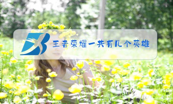王者荣耀一共有几个英雄20208月图片