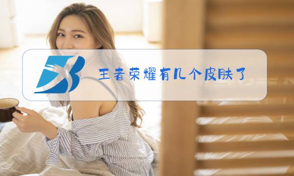 王者荣耀有几个皮肤了图片