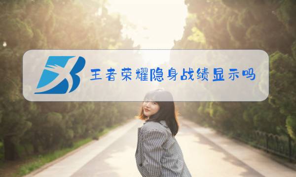 王者荣耀隐身战绩显示吗图片