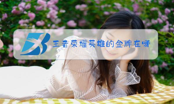 王者荣耀英雄的金牌在哪儿看