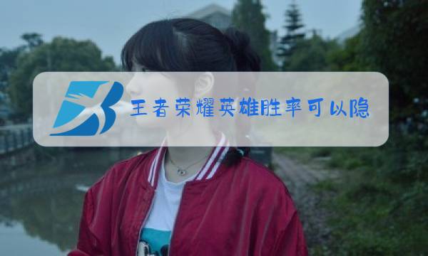 王者荣耀英雄胜率可以隐藏吗图片