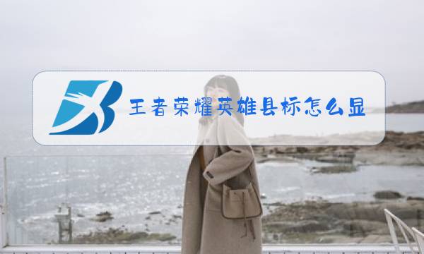 王者荣耀英雄县标怎么显示